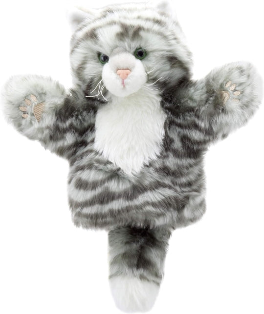 Book cover of: Tabby Cat