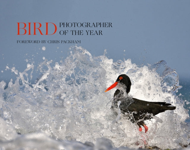 Book cover of: Bird Photographer of the Year. By: Bird Photographer of the Year