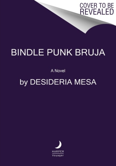 Book cover of: Bindle Punk Bruja. By: Desideria Mesa