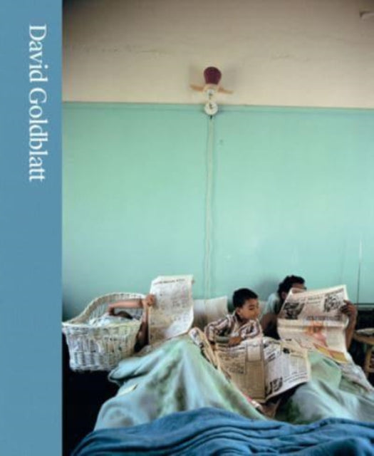 Book cover of: David Goldblatt. By: Leslie M. Wilson