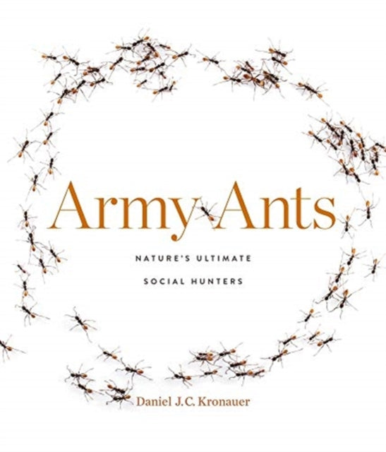 Book cover of: Army Ants. By: Daniel J. C. Kronauer