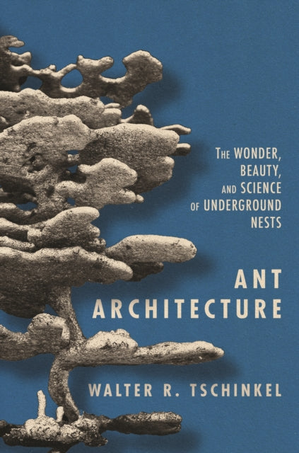 Book cover of: Ant Architecture. By: Walter R. Tschinkel