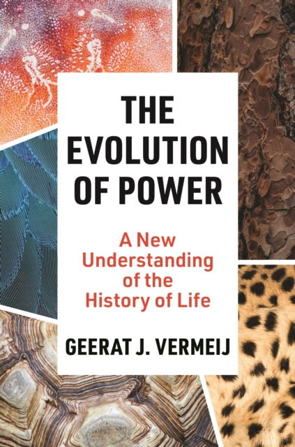 Book cover of: Evolution of Power. By: Geerat J. Vermeij