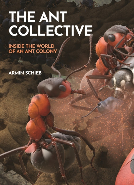 Book cover of: Ant Collective. By: Armin Schieb