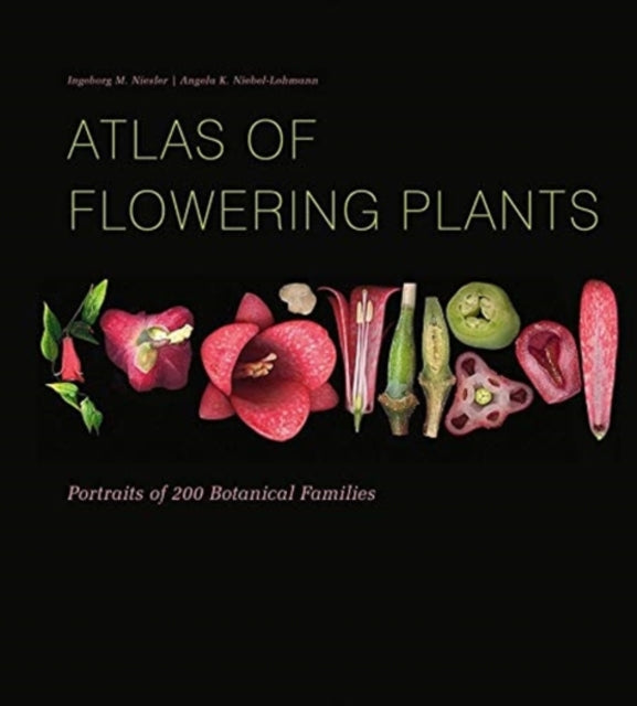 Book cover of: Atlas of Flowering Plants. By: Ingeborg M. Niesler