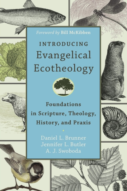 Book cover of: Introducing Evangelical Ecotheology – Foundations in Scripture, Theology, History, and Praxis. By: Daniel Brunner