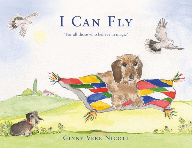 Book cover of: 'I CAN FLY'