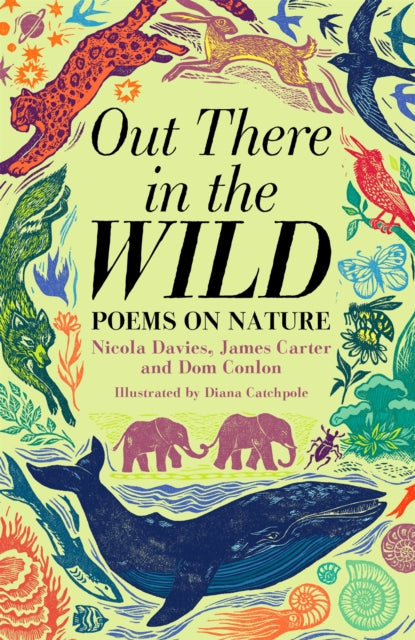 Book cover of: Out There in the Wild. By: Nicola Davies
