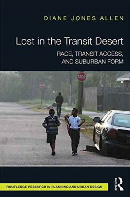 Book cover of: Lost in the Transit Desert. By: Diane Jones Allen
