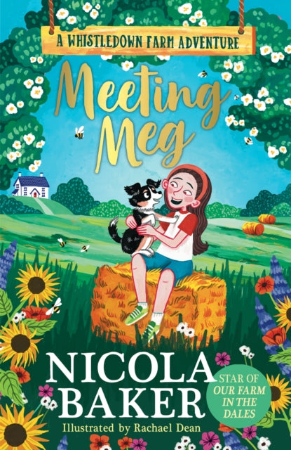 Book cover of: Meeting Meg