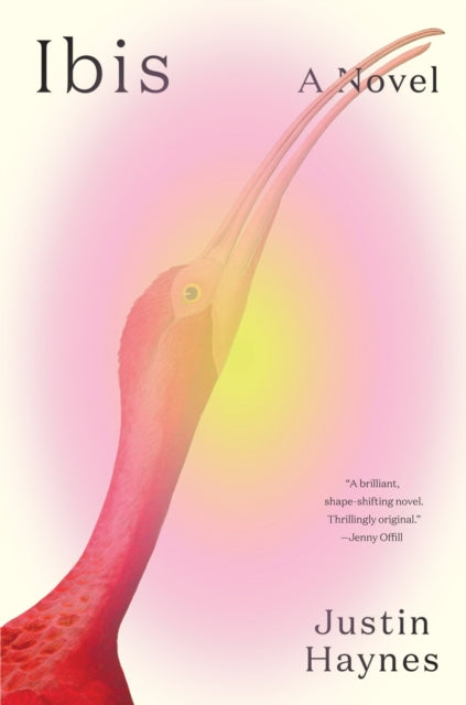 Book cover of: Ibis. By: Justin Haynes