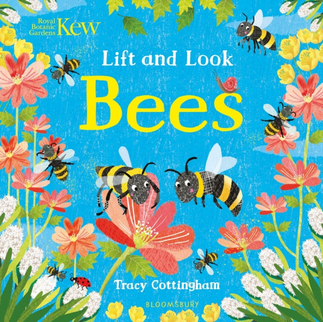 Book cover of: Kew: Lift and Look Bees