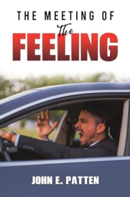 Book cover of: Meeting of the Feeling