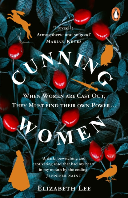 Book cover of: Cunning Women. By: Elizabeth Lee