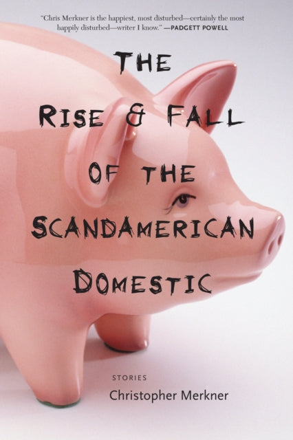 Book cover of: Rise & Fall of the Scandamerican Domestic