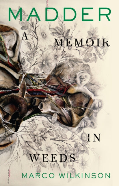 Book cover of: Madder. By: Marco Wilkinson