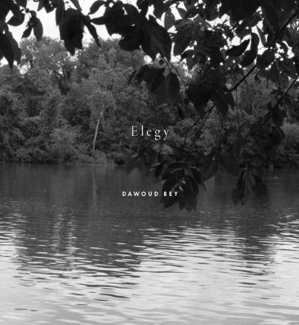 Book cover of: Dawoud Bey: Elegy. By: Dawoud Bey
