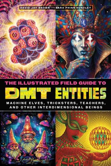 Book cover of: Illustrated Field Guide to DMT Entities. By: David Jay Brown