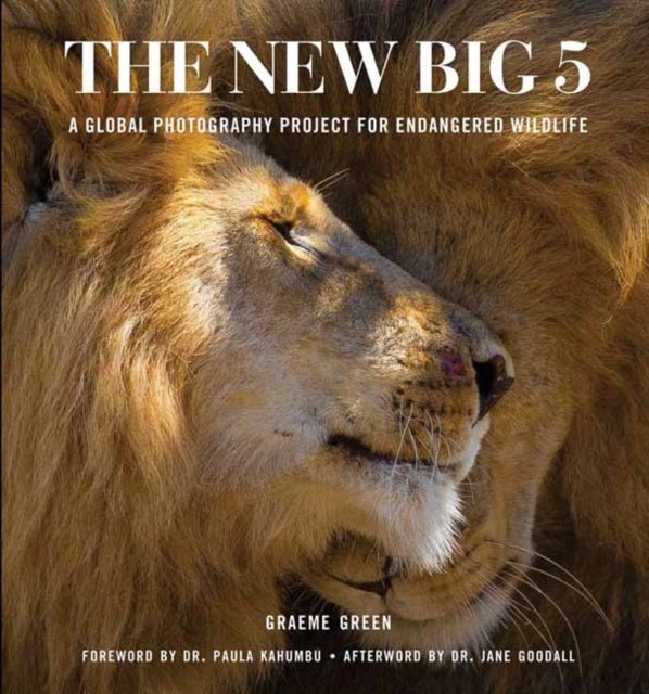 Book cover of: New Big Five. By: Graeme Green