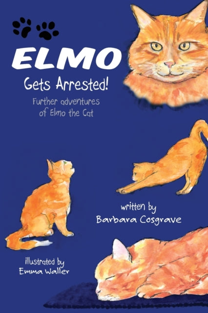 Book cover of: Elmo Gets Arrested!