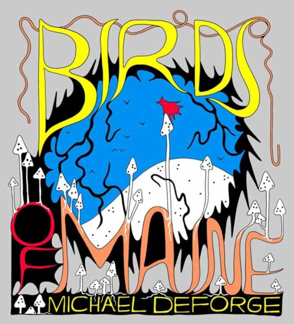 Book cover of: Birds of Maine. By: Michael DeForge