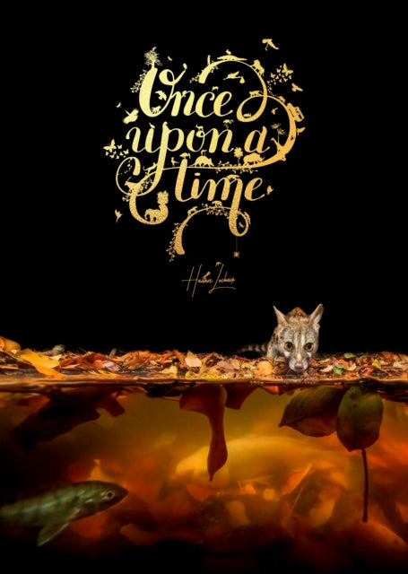 Book cover of: Once Upon a Time