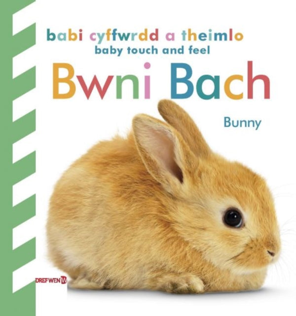 Book cover of: Babi Cyffwrdd a Theimlo: Bwni Bach / Baby Touch and Feel: Bunny