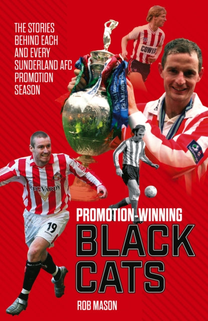 Book cover of: Promotion Winning Black Cats. By: Rob Mason