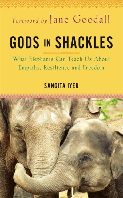 Book cover of: Gods in Shackles. By: Sangita Iyer