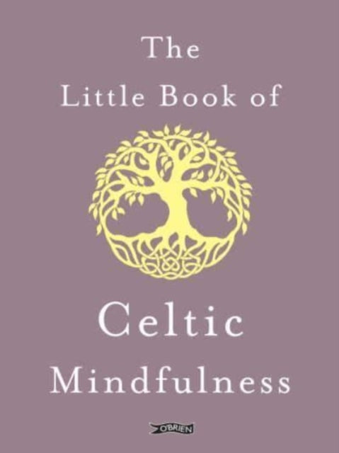 Book cover of: Little Book of Celtic Mindfulness. By: Sarah Byrne