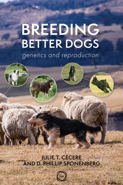 Book cover of: Breeding Better Dogs. By: Julie T. Cecere