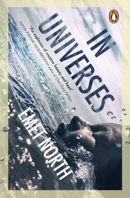 Book cover of: In Universes