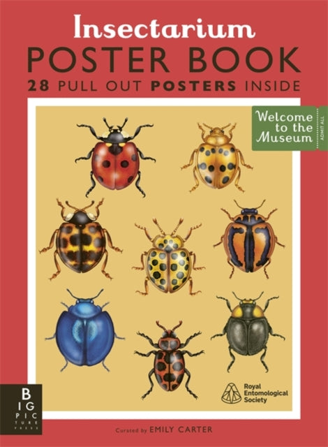 Book cover of: Insectarium Poster Book