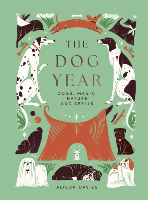 Book cover of: Dog Year