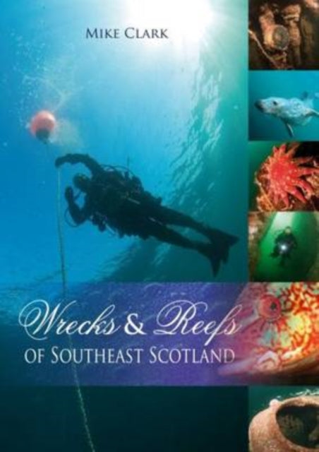 Book cover of: Wrecks & Reefs of Southeast Scotland