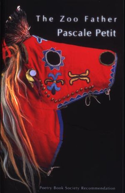 Book cover of: Zoo Father