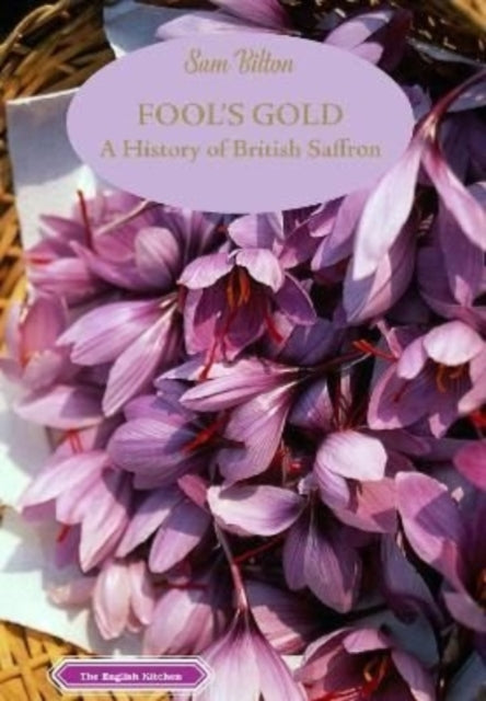Book cover of: Fool's Gold. By: Sam BILTON