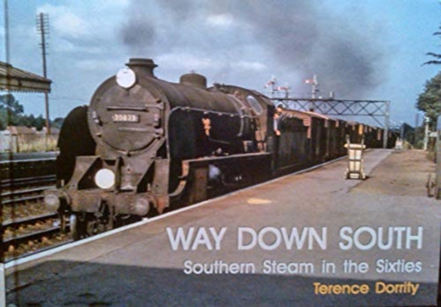 Book cover of: WAY DOWN SOUTH