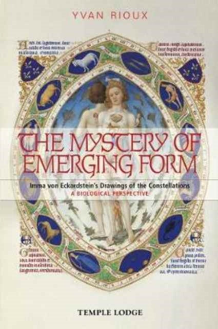 Book cover of: Mystery of Emerging Form. By: Yvan RIOUX