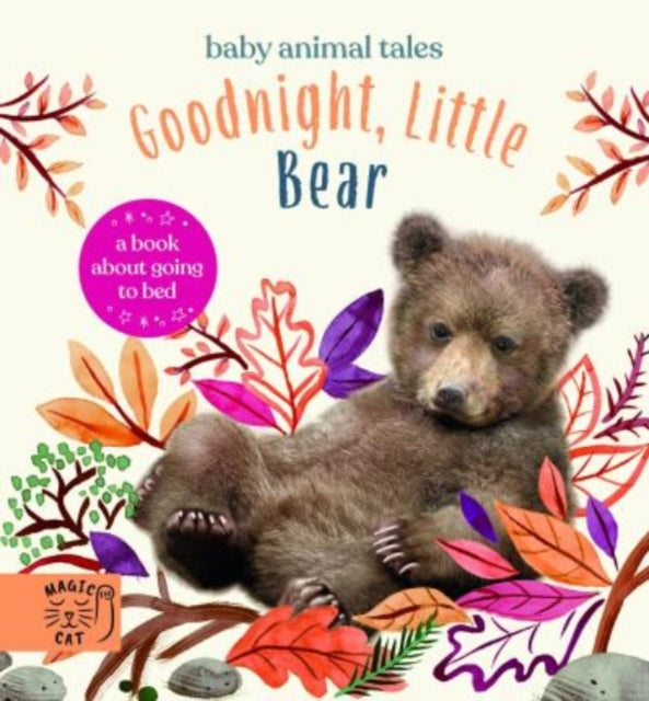 Book cover of: Goodnight, Little Bear. By: Amanda Wood