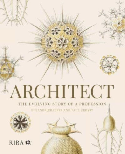 Book cover of: Architect: The evolving story of a profession. By: Eleanor Jolliffe