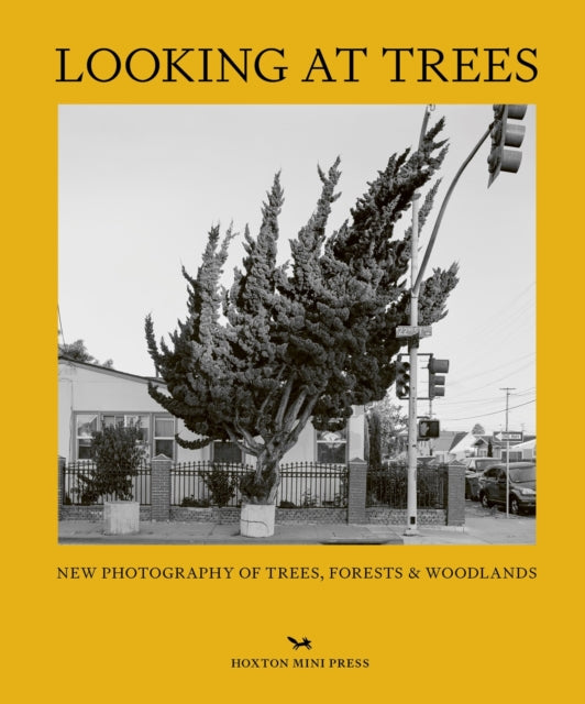 Book cover of: Looking At Trees. By: Hoxton Mini Press