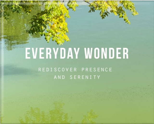 Book cover of: Everyday Wonder
