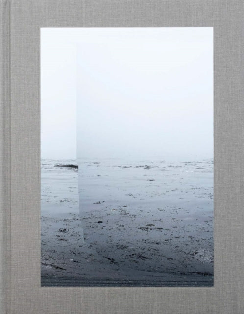 Book cover of: Barry Stone: Daily, In A Nimble Sea. By: Barry Stone