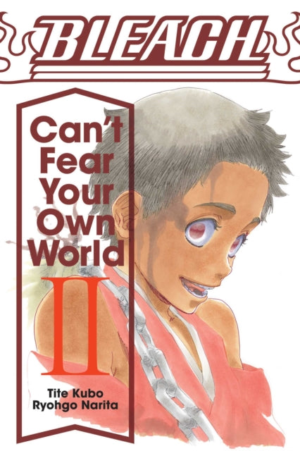 Book cover of: Bleach: Can't Fear Your Own World, Vol. 2. By: 成田良悟