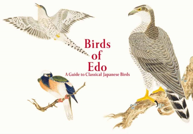 Book cover of: Birds of Edo. By: Kazuhiko Tajima