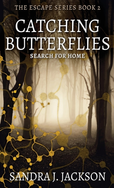 Book cover of: Catching Butterflies
