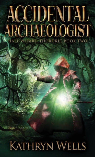 Book cover of: Accidental Archaeologist
