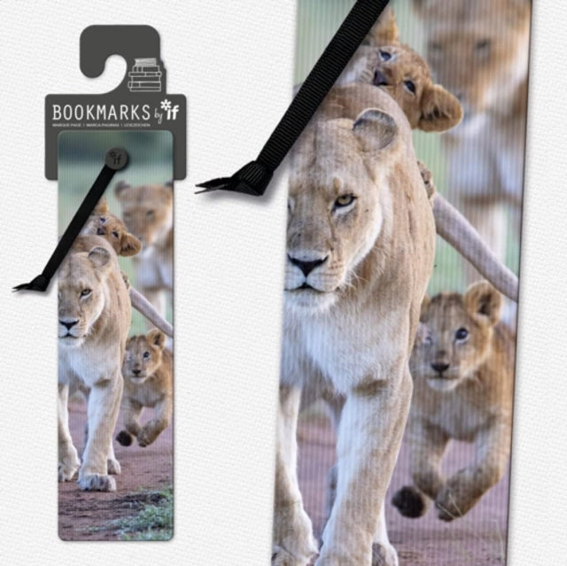 Book cover of: 3D Bookmarks - African Lion Cubs