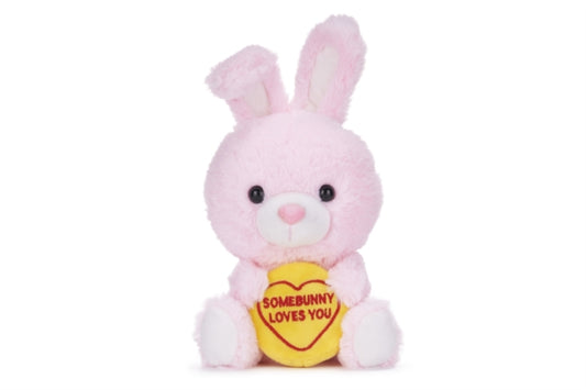 Book cover of: Love Hearts 7" Somebunny Loves You Plush Gift